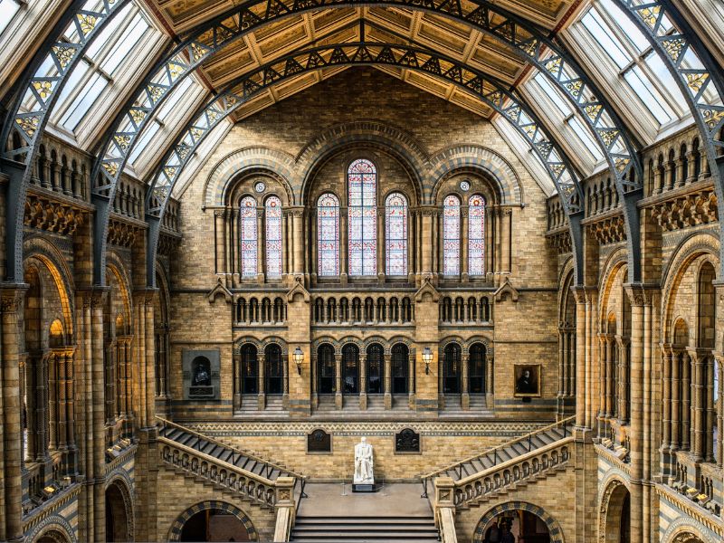 Imposante Halle im Natural History Museum