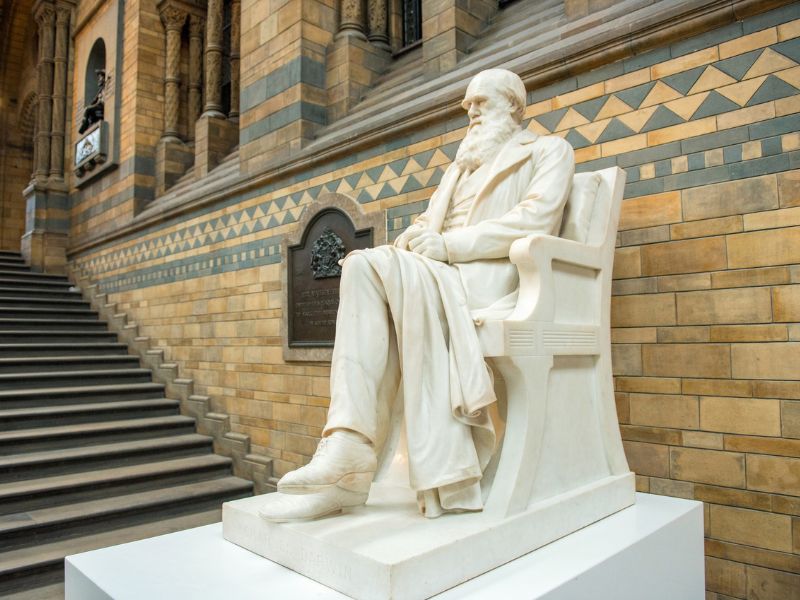 Statue von Charles Darwin im Naturhistorischen Londoner Museum