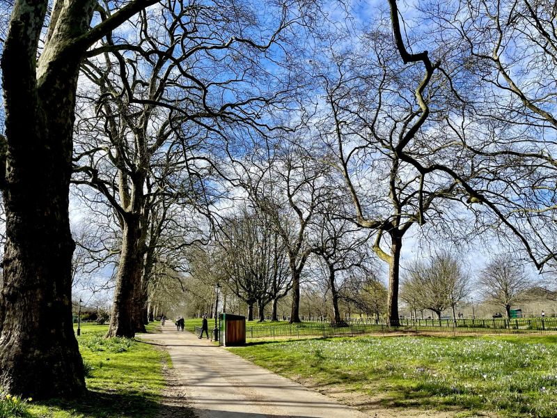 Weg mit Bäumen und Wiese im öffentlichen Londoner Hyde park