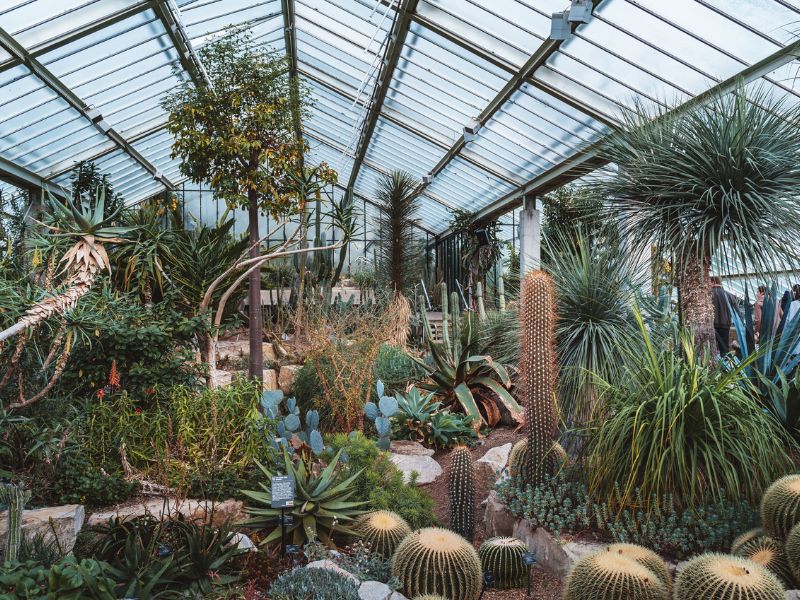 Princess of Wales Conservatory – Glashaus mit 10 Klimazonen