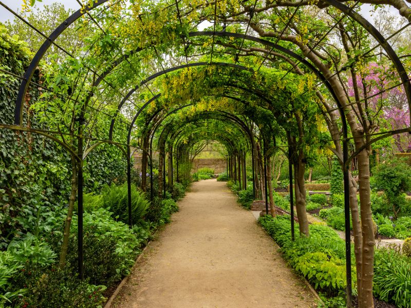 Schöner Spazierweg im Botanischen Garten von London