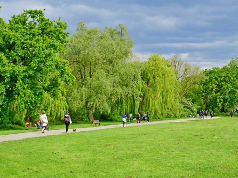 _Hampstead Heath