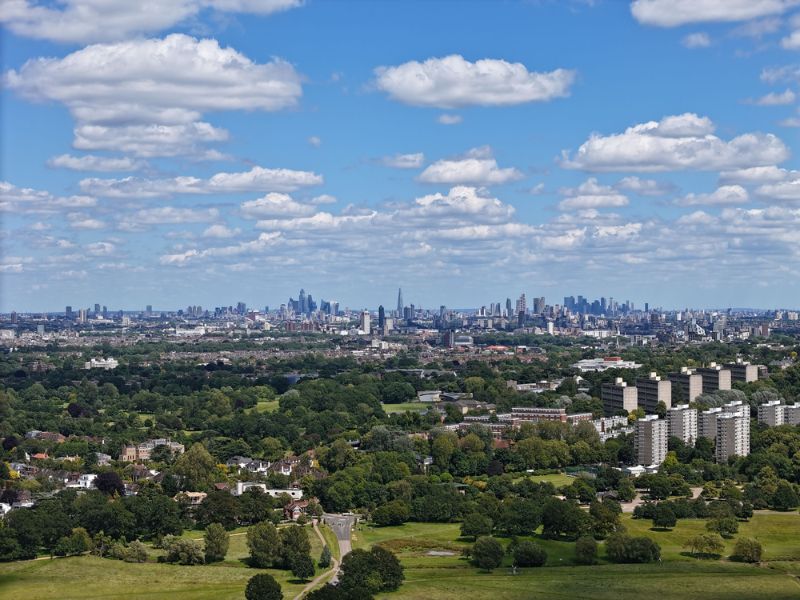 Richmond Park in South London mit Skyline im Hintergrund