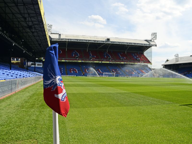 Am Rasen des Selhurst Park Stadions in London